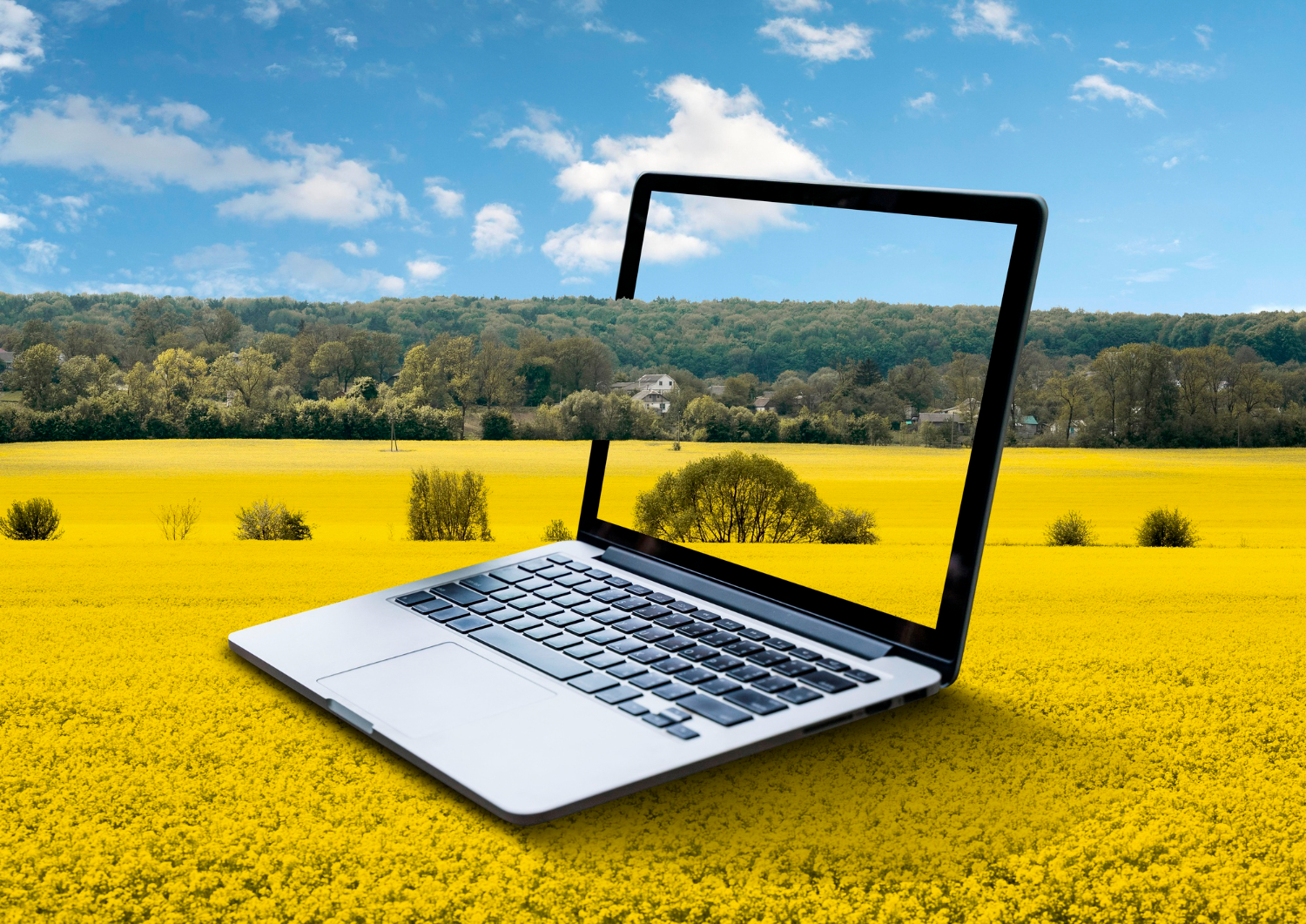 Windows Laptops for Creatives